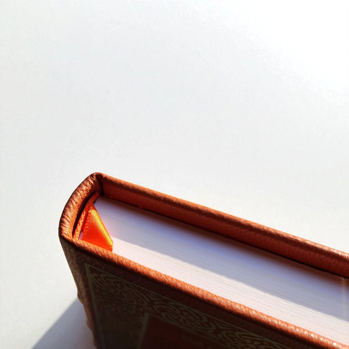 The Bitcoin Standard: Leather Bound Edition by LeatherMint